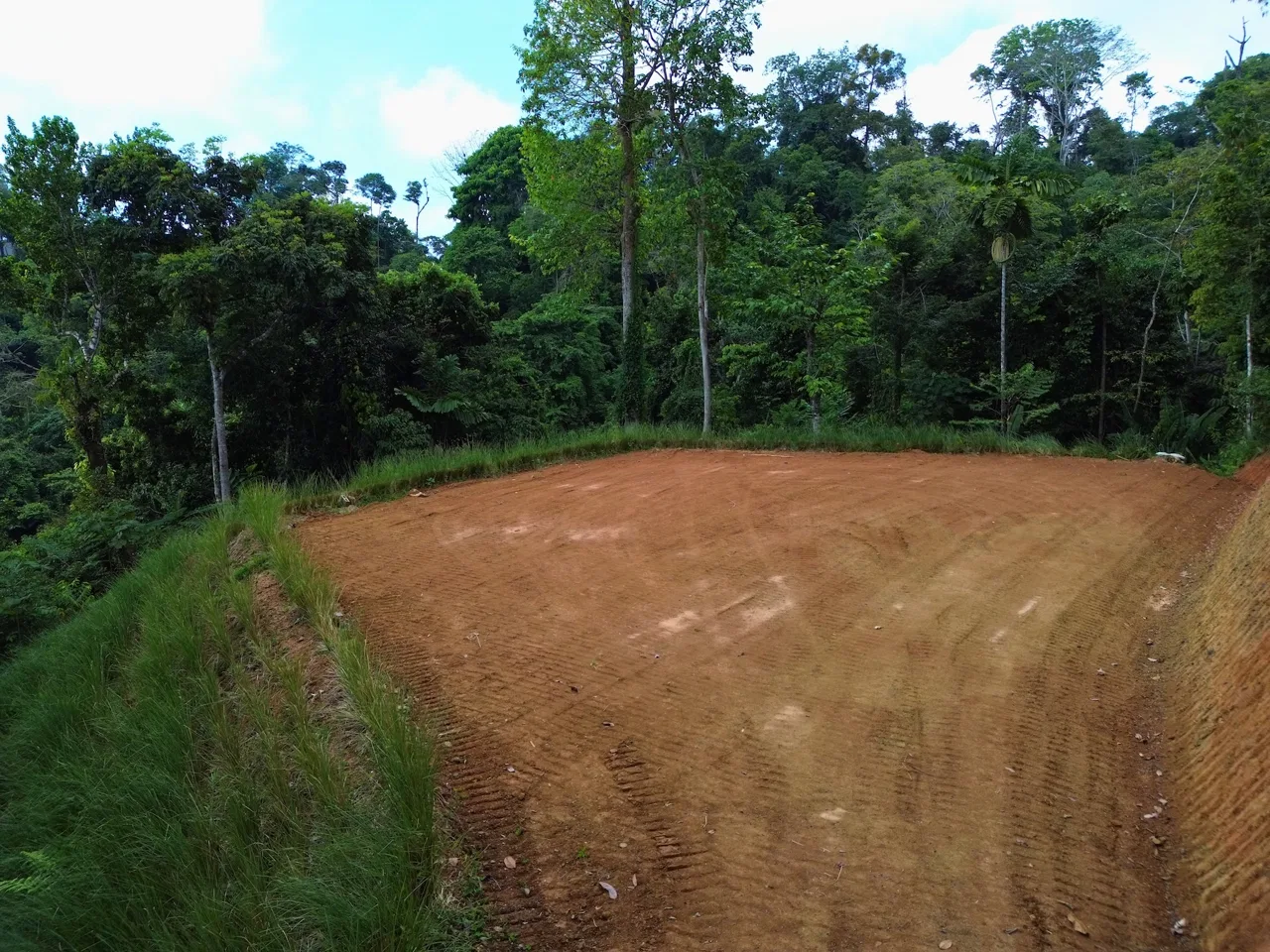 PRIVATE LOT WITH OCEAN AND TROPICAL RAINFOREST VIEWS, IN UVITA – 1.73 ACRES, photo 7