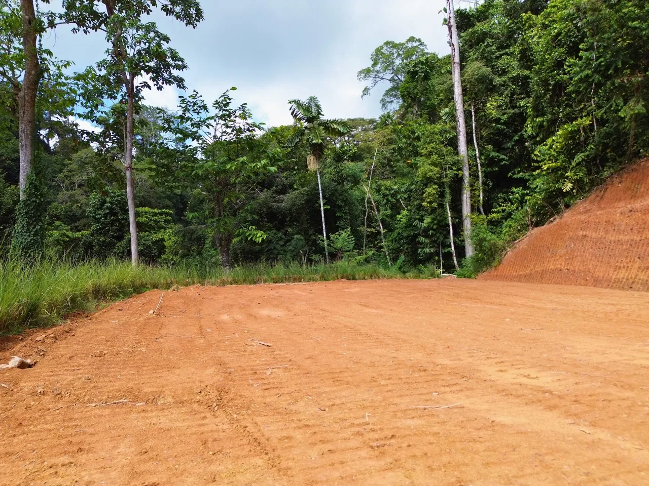 PRIVATE LOT WITH OCEAN AND TROPICAL RAINFOREST VIEWS, IN UVITA – 1.73 ACRES, photo 8