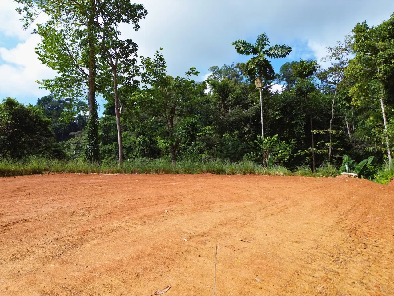 PRIVATE LOT WITH OCEAN AND TROPICAL RAINFOREST VIEWS, IN UVITA – 1.73 ACRES, photo 9