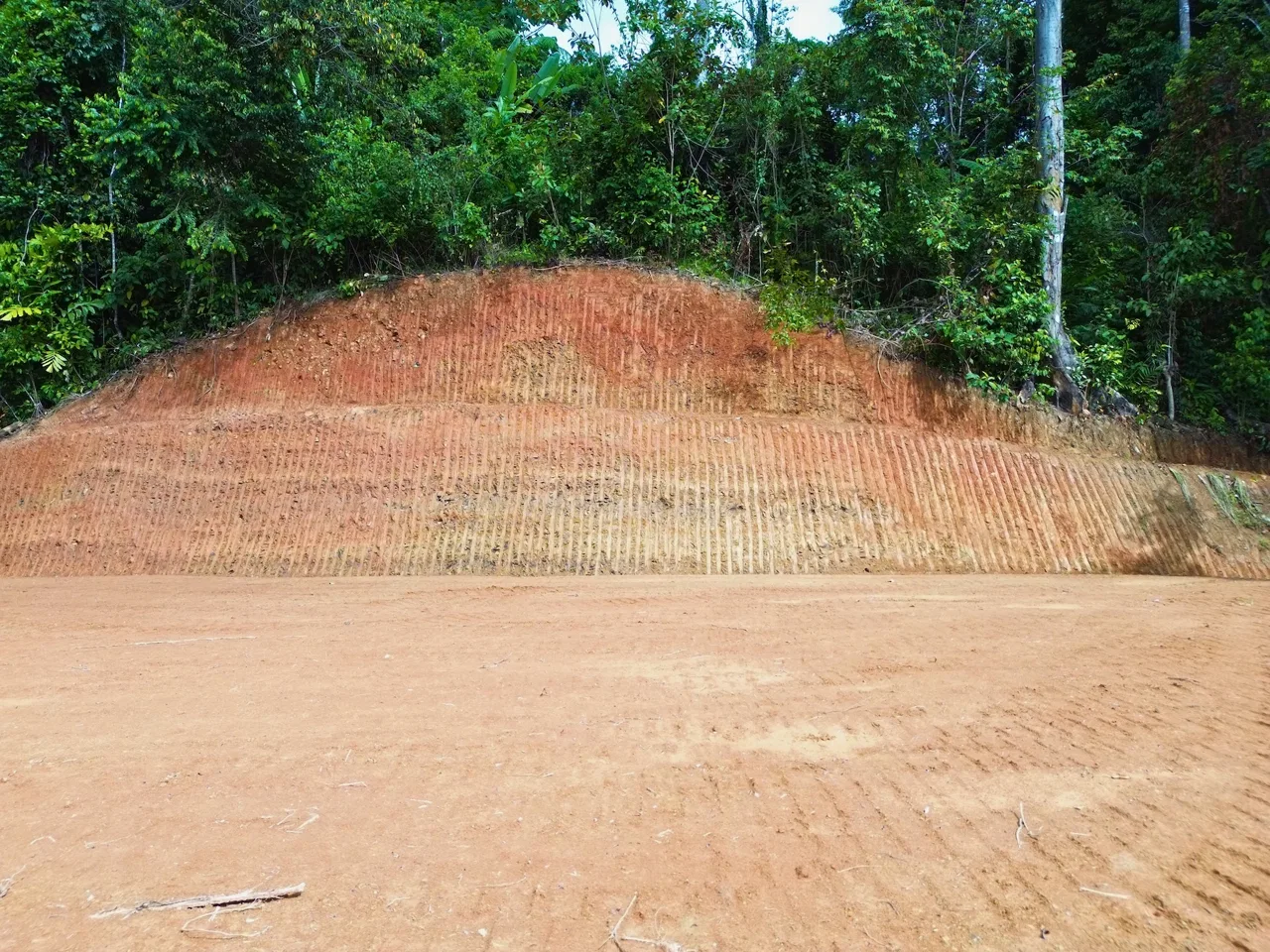 PRIVATE LOT WITH OCEAN AND TROPICAL RAINFOREST VIEWS, IN UVITA – 1.73 ACRES, photo 10