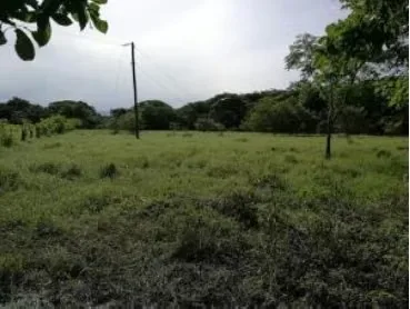 MA Asesoría vende Finca de 1.2 Hectáreas en Colorado de Abangares, cerca del cruce a Limonal, carretera interamericana Ruta #1.
