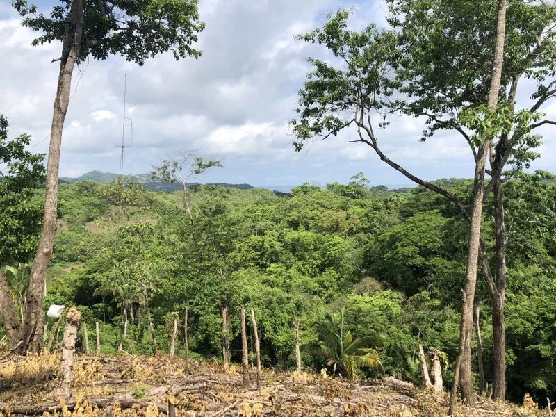 Land For Sale in Samara, photo 2