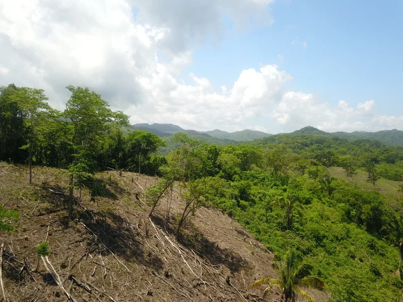 Land For Sale in Samara, photo 11