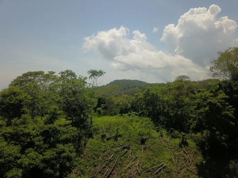 Land For Sale in Samara, photo 12