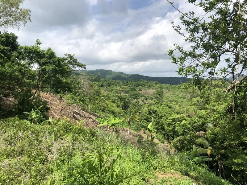 Land For Sale in Samara, photo 14