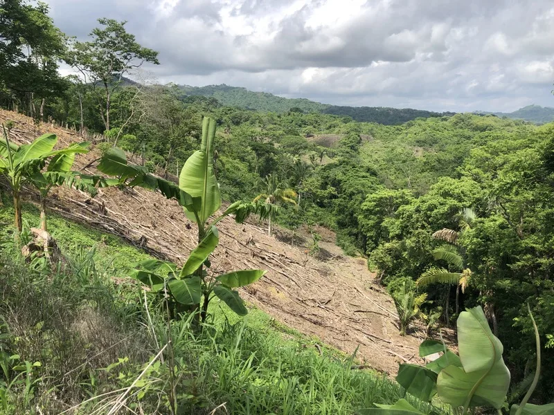 Land For Sale in Samara, photo 15