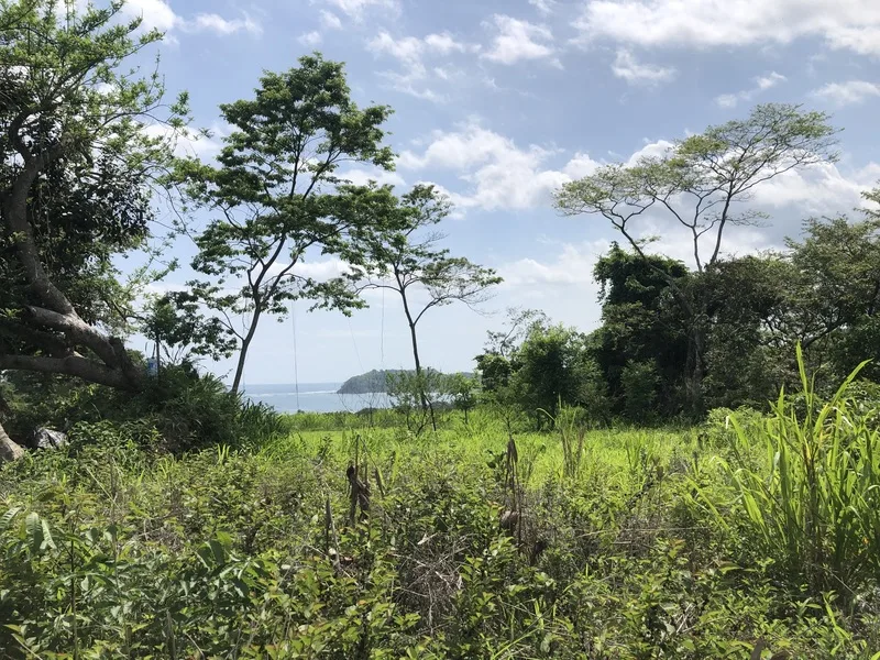 Land For Sale in Samara, photo 3