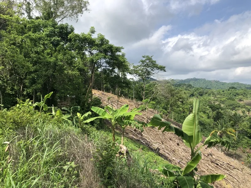 Land For Sale in Samara, photo 4