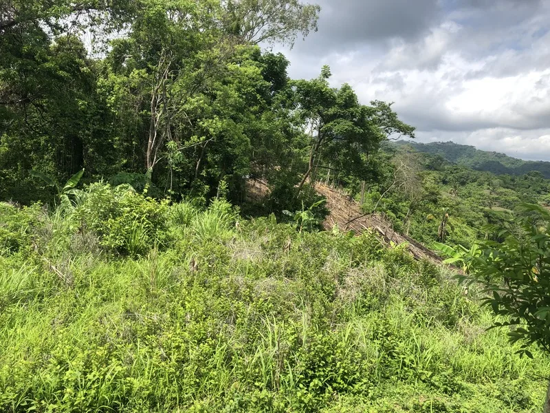 Land For Sale in Samara, photo 5