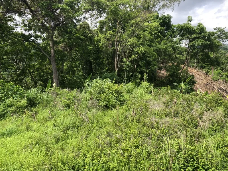 Land For Sale in Samara, photo 6
