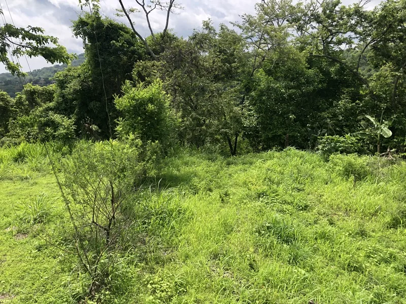 Land For Sale in Samara, photo 9