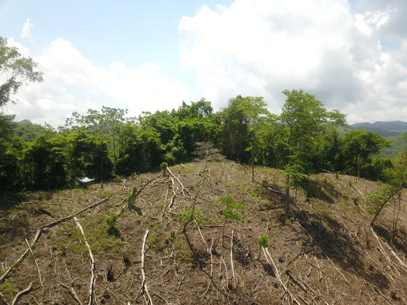 Land For Sale in Samara, photo 10