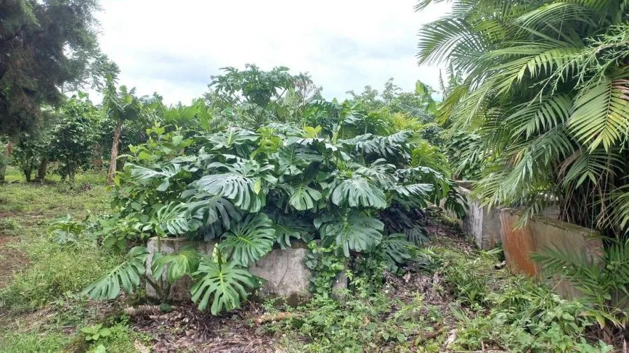 Venta de Lote en Goicoechea, San José.  - Venta en Goicoechea, photo 11