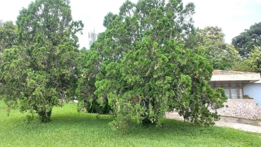 Venta de Lote en Goicoechea, San José.  - Venta en Goicoechea, photo 12