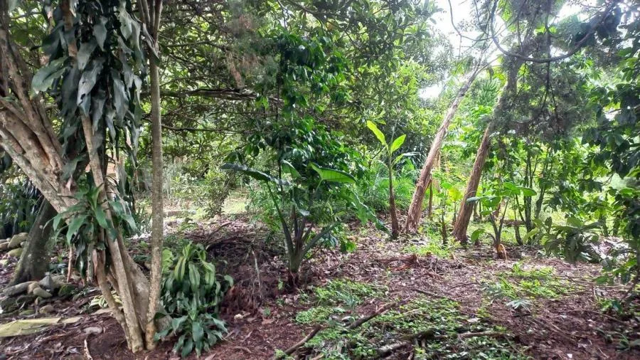 Venta de Lote en Goicoechea, San José.  - Venta en Goicoechea, photo 14