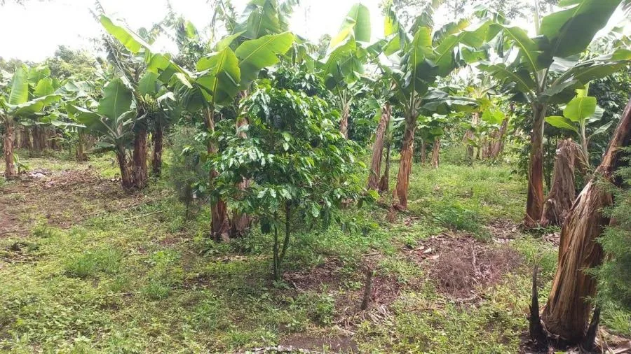 Venta de Lote en Goicoechea, San José.  - Venta en Goicoechea, photo 15