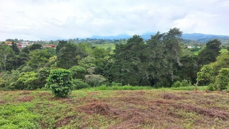 Venta de Lote en Goicoechea, San José.  - Venta en Goicoechea, photo 3