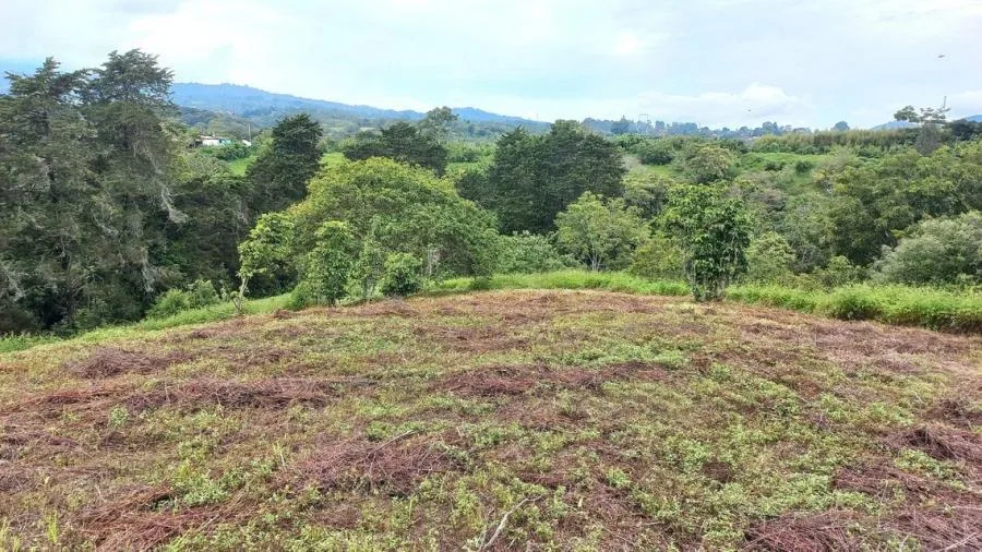 Venta de Lote en Goicoechea, San José.  - Venta en Goicoechea, photo 8