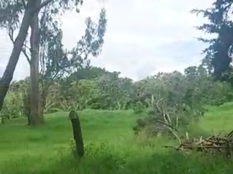 Land For Sale in Santo Domingo, photo 3