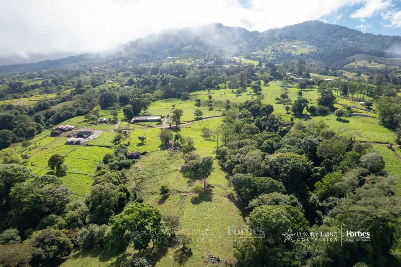 Farm in Coronado of 26 hectares