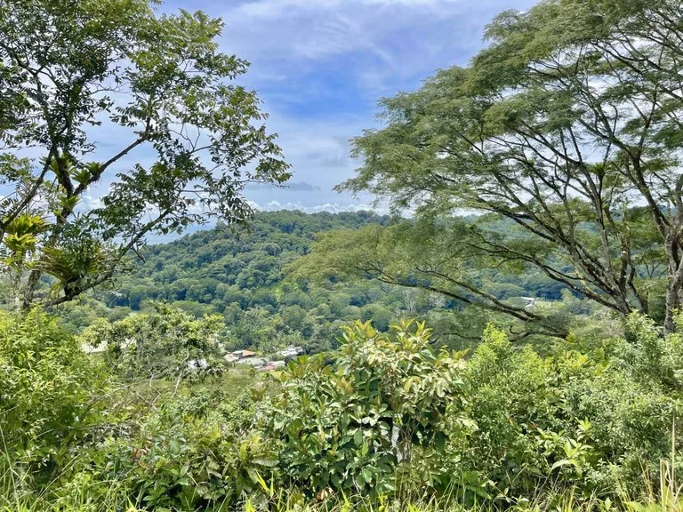 1.75 ACRES – Amazing Ocean View Lot, Gated Community, Legal Water, Minutes From Dominical And Beach!!!!: Near the Coast and Mountain Home Construction Site For Sale in Dominical, photo 11