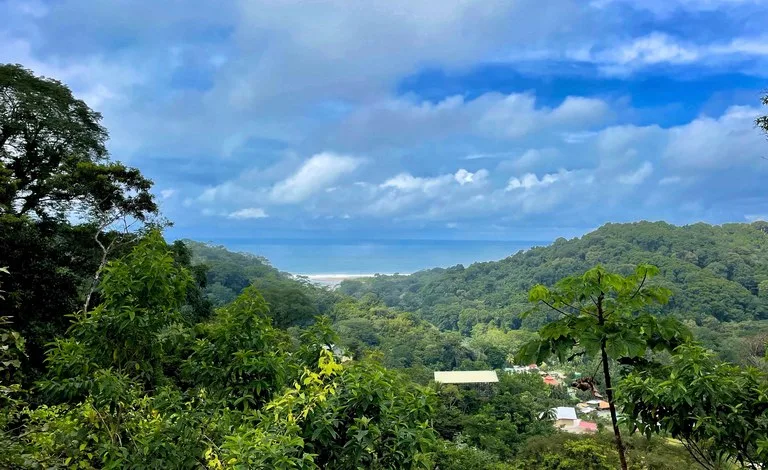1.75 ACRES – Amazing Ocean View Lot, Gated Community, Legal Water, Minutes From Dominical And Beach!!!!: Near the Coast and Mountain Home Construction Site For Sale in Dominical, photo 4