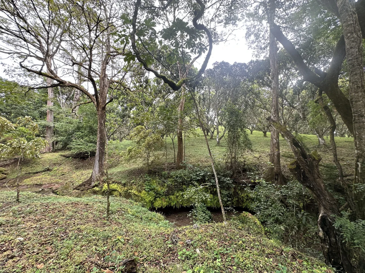 3 Country Estates for Sale in Turrubares, Laguna: Nature, Accessibility, and Investment Potential, photo 13