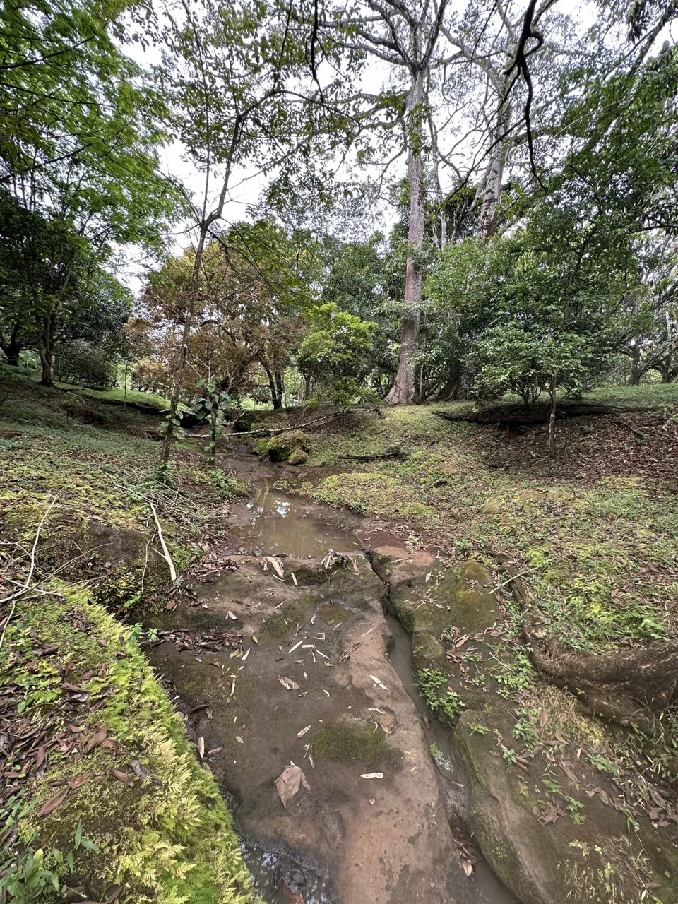 3 Country Estates for Sale in Turrubares, Laguna: Nature, Accessibility, and Investment Potential, photo 14