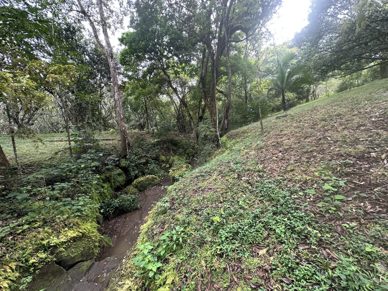 3 Country Estates for Sale in Turrubares, Laguna: Nature, Accessibility, and Investment Potential, photo 15