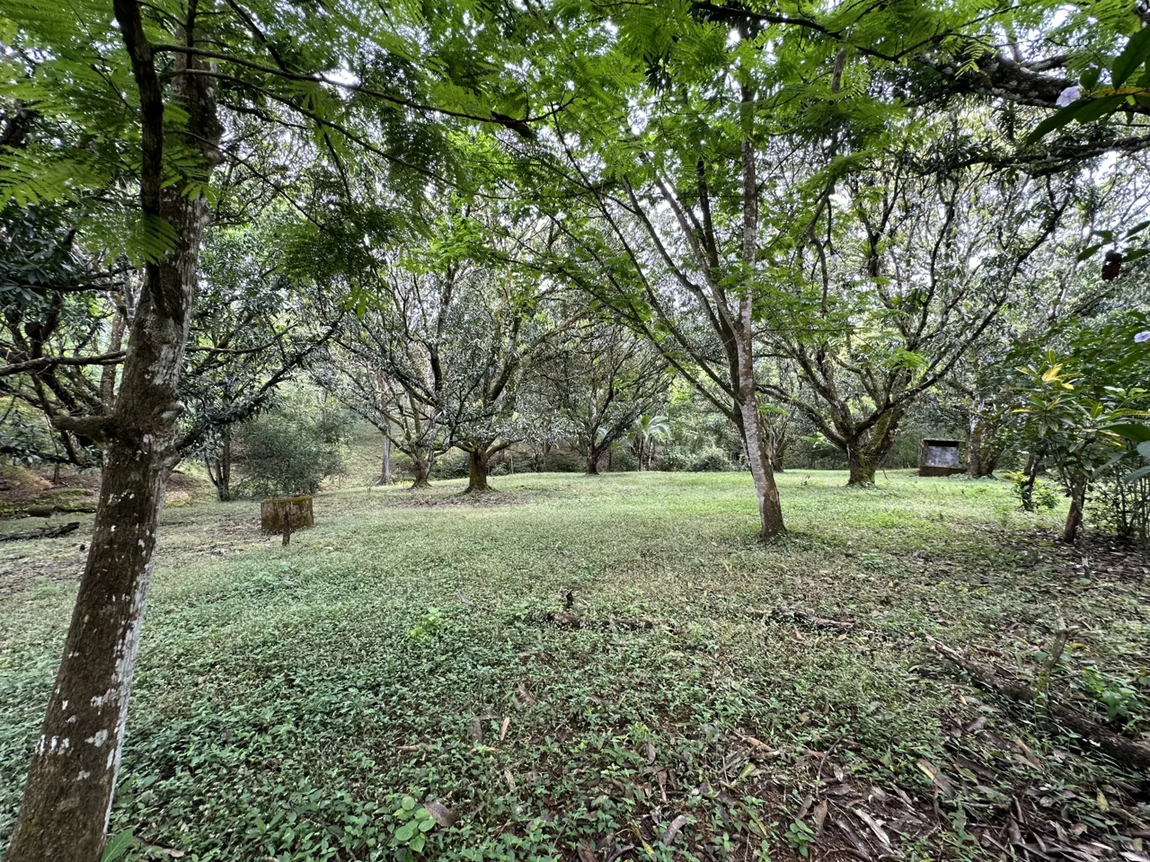 3 Country Estates for Sale in Turrubares, Laguna: Nature, Accessibility, and Investment Potential, photo 7