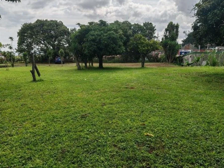 LOTE EN VENTA EN TURRUBARES, cod: CTL MLS #24-1909 - Venta en Turrubares, photo 9