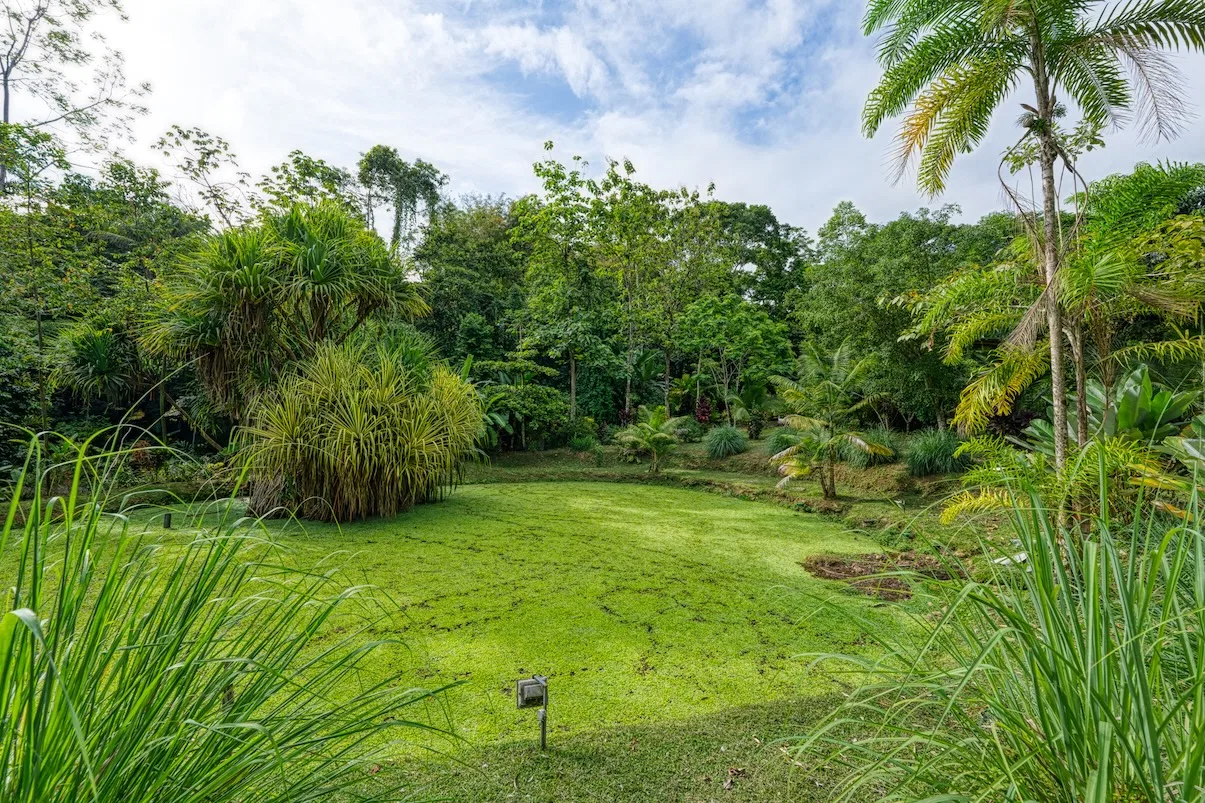 COMMERCIAL HOTEL PROPERTY WITH SIXTEEN BEDROOMS, IN LA TUMBAS TINAMASTES – 62 ACRES, photo 19
