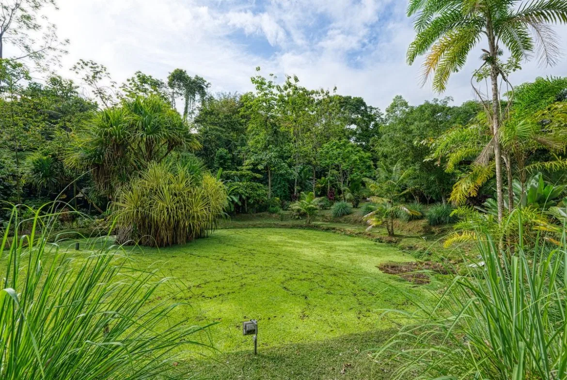 COMMERCIAL HOTEL PROPERTY WITH SIXTEEN BEDROOMS, IN LA TUMBAS TINAMASTES – 62 ACRES, photo 20