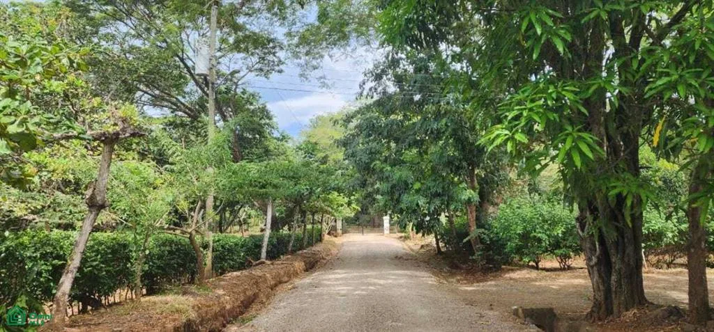 Lote 20 – Lomas de Conchal | Lote listo para construir cerca de Playa Conchal