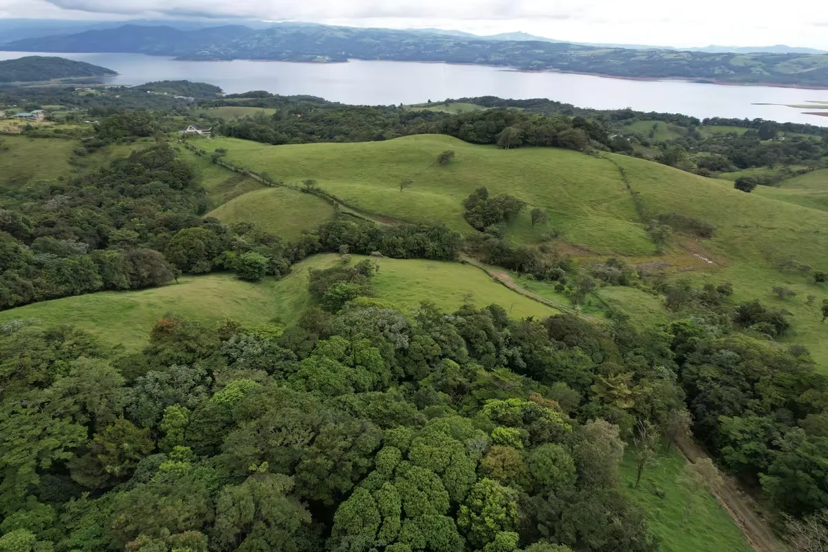 Discover an incredible investment opportunity in the heart of Guanacaste. This stunning 200,000 m² farm is ideally located between Tilarán and Nuevo Arenal, offering breathtaking ...