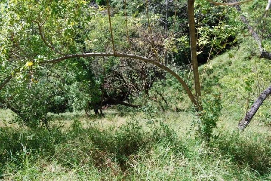 Venta de Finca en Rio Oro Santa Ana San José  - Venta en Santa Ana, photo 8