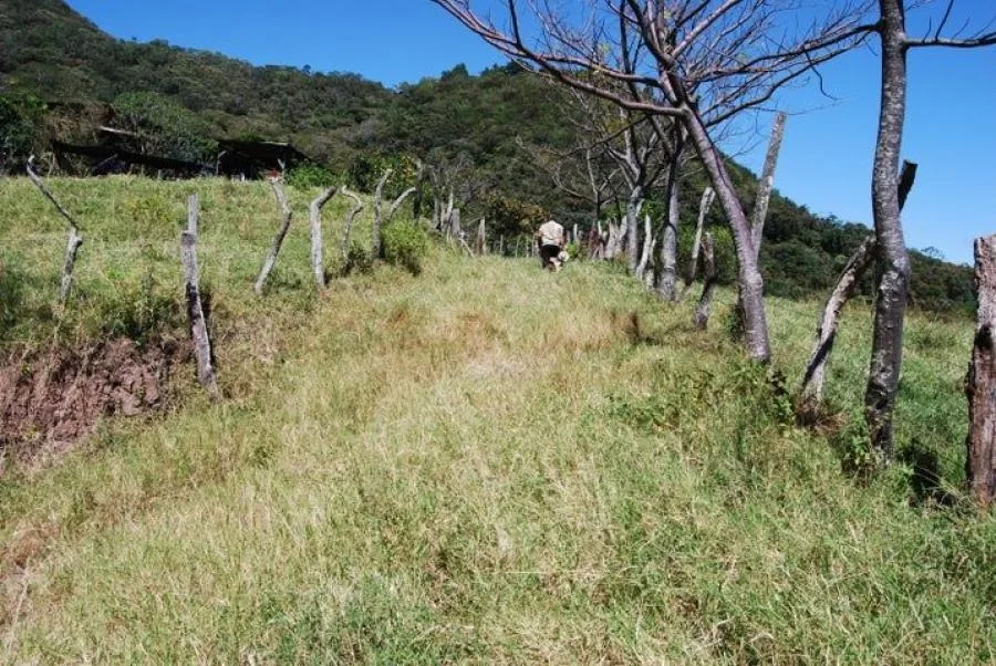 Venta de Finca en Rio Oro Santa Ana San José  - Venta en Santa Ana, photo 10