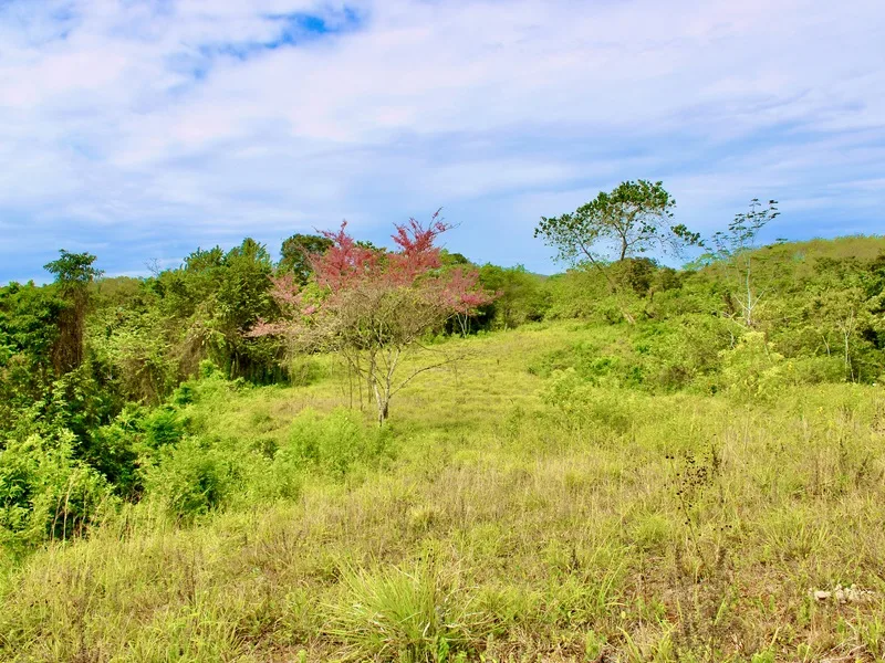 Land For Sale in Santa Teresa