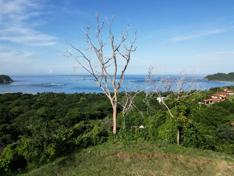 Land For Sale in Samara, photo 3