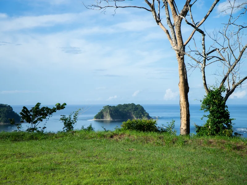 Land For Sale in Samara, photo 8