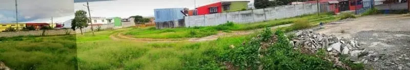 Land for sale in Tibas 15101, photo 3