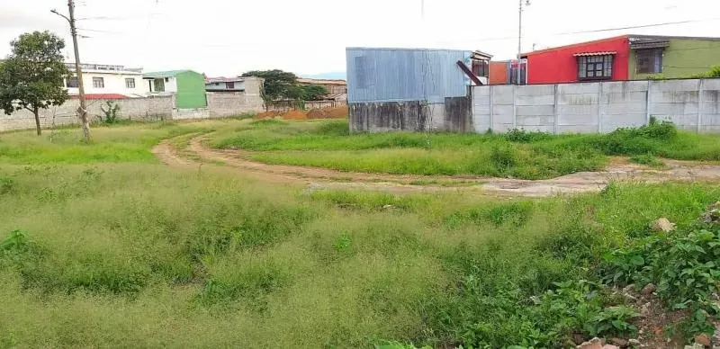 Land for sale in Tibas 15101, photo 6
