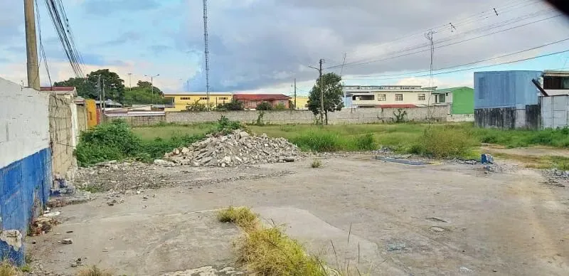 Land for sale in Tibas 15101, photo 9