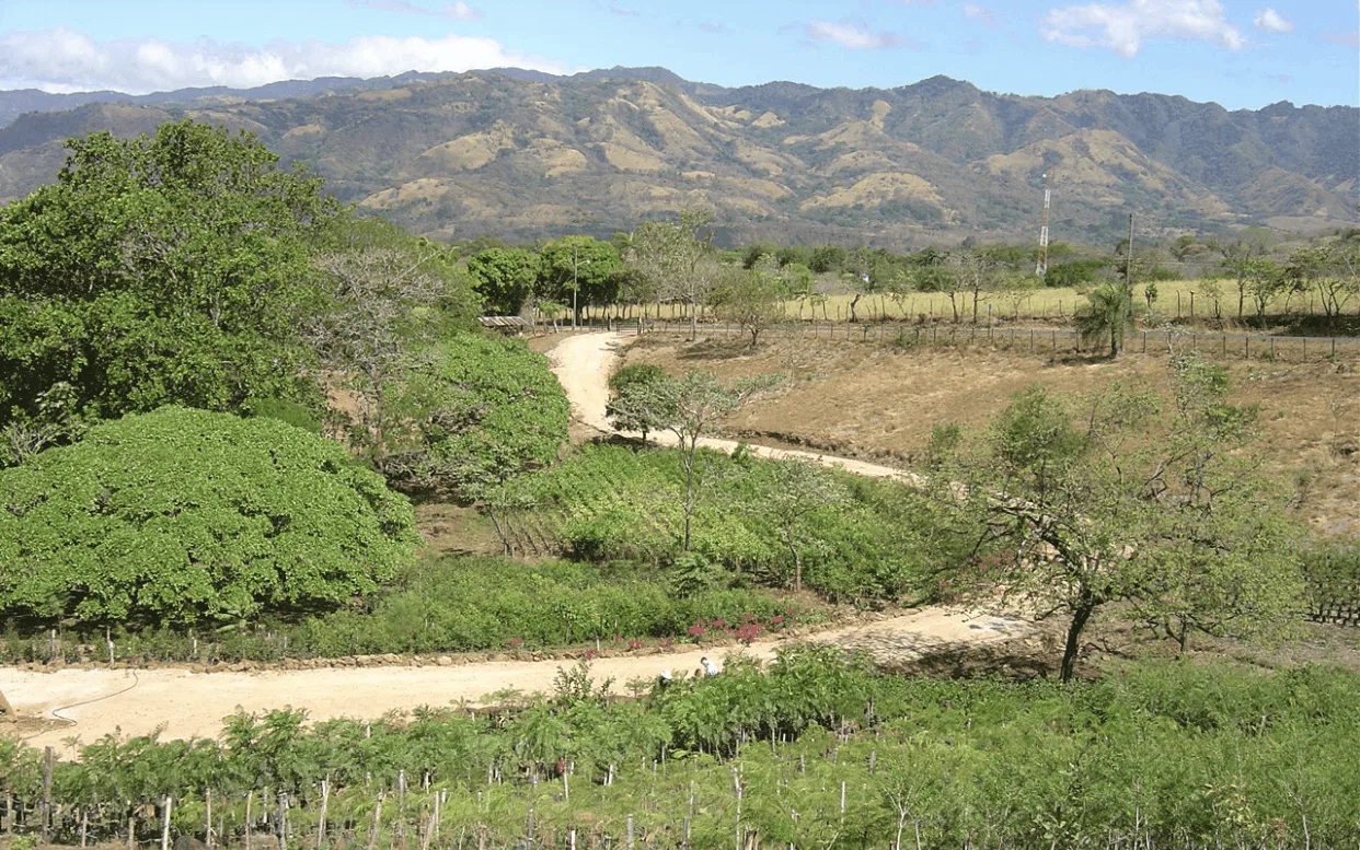 Ocean View Development Farm 40 min from Airport | Costa Rica Real Estate | Jaco Realty