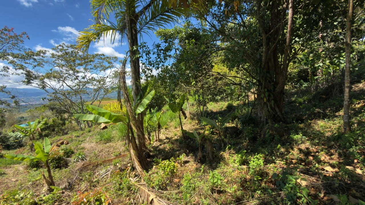 Lot for Sale with nice Views in Miravalles Perez Zeledon, photo 6