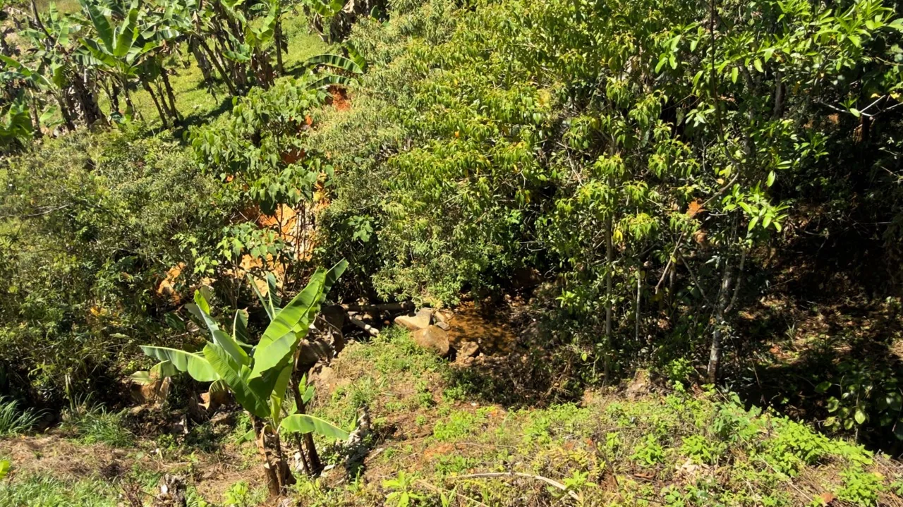 Lot for Sale with nice Views in Miravalles Perez Zeledon, photo 7