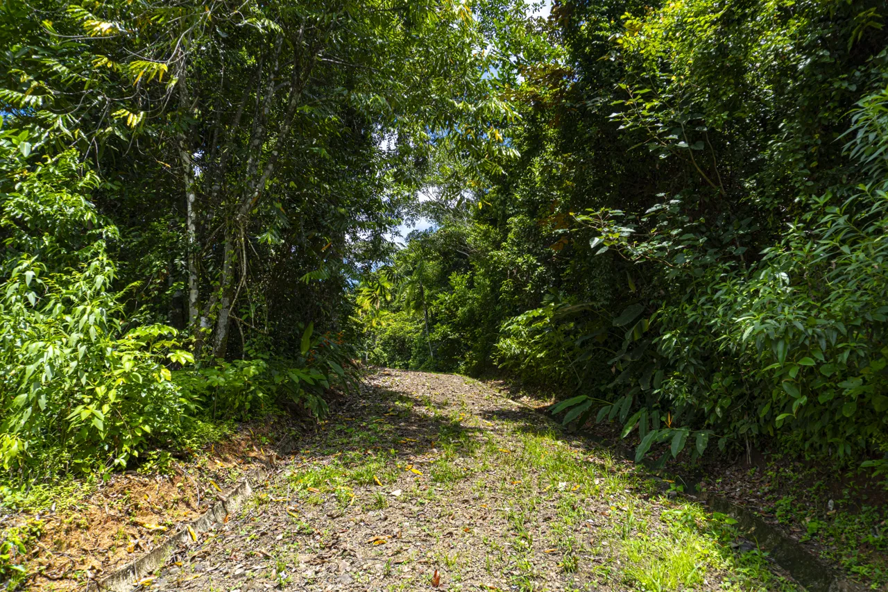 3 acres, MNT Views, Tierra del Ceibo lot #5