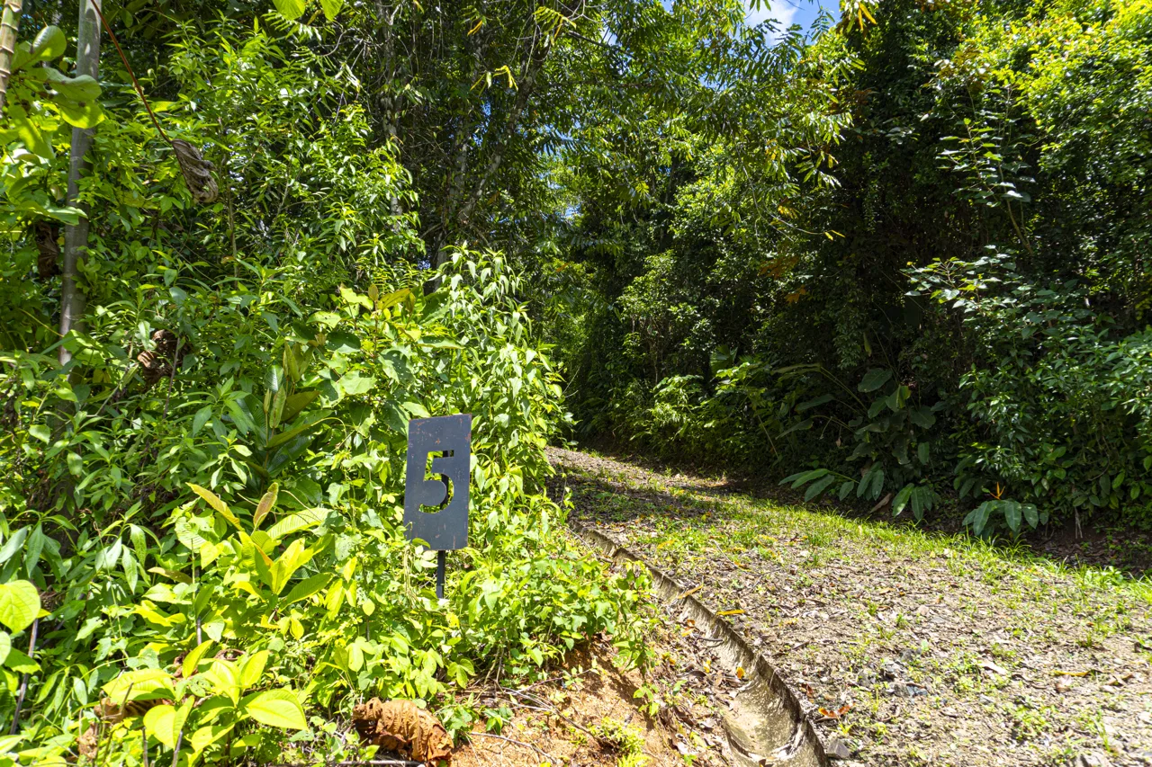 3 acres, MNT Views, Tierra del Ceibo lot #5, photo 2