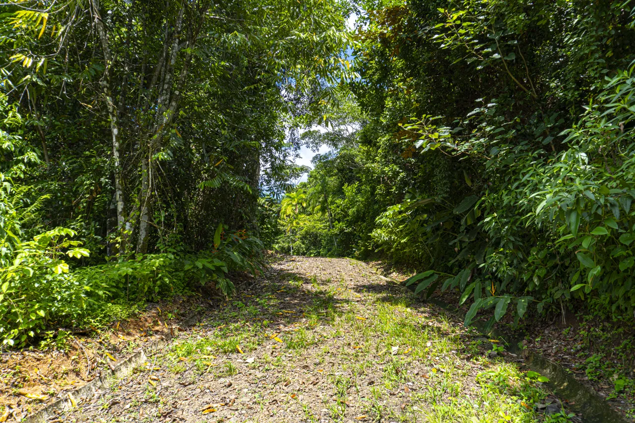 3 acres, MNT Views, Tierra del Ceibo lot #5, photo 3