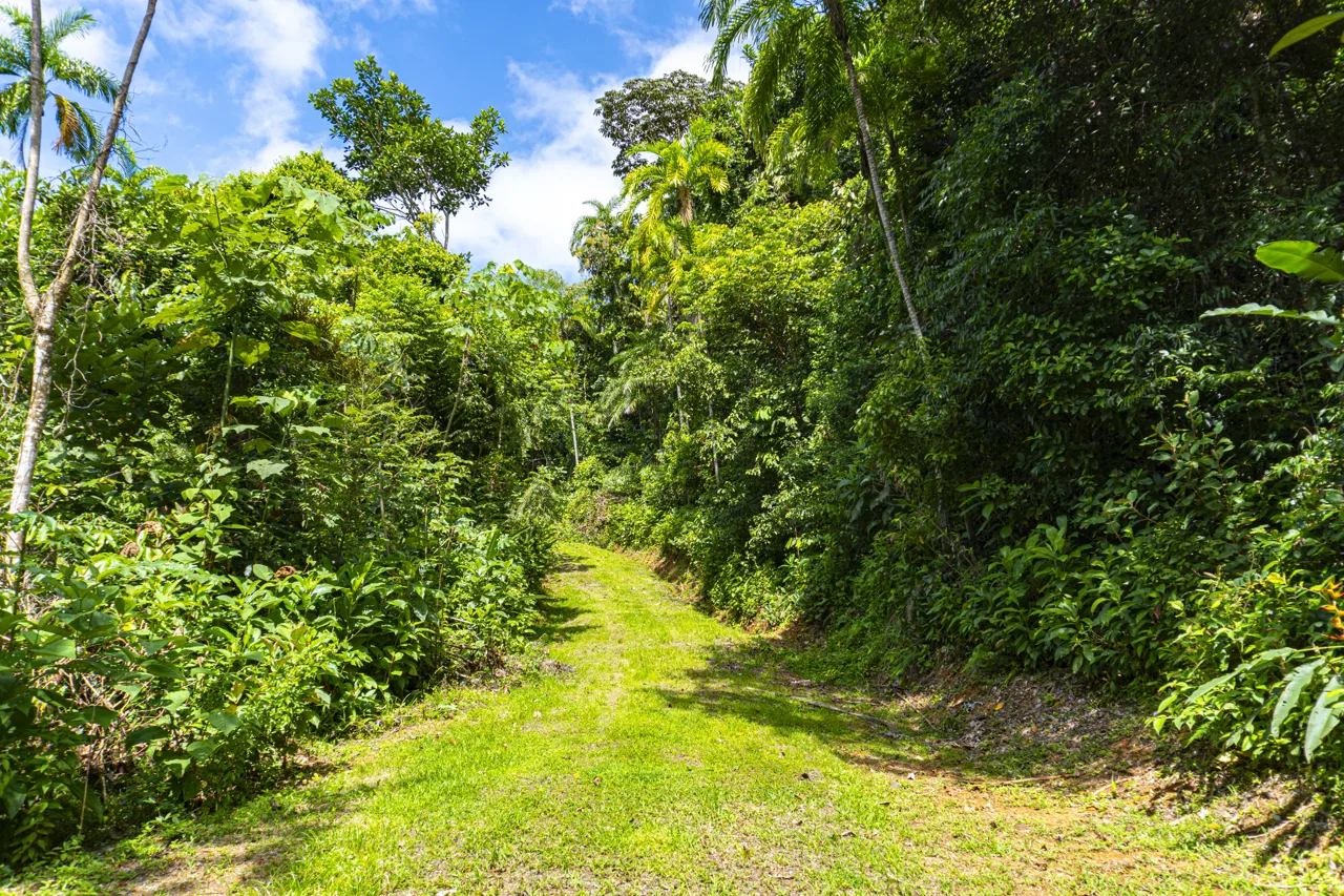 3 acres, MNT Views, Tierra del Ceibo lot #5, photo 4